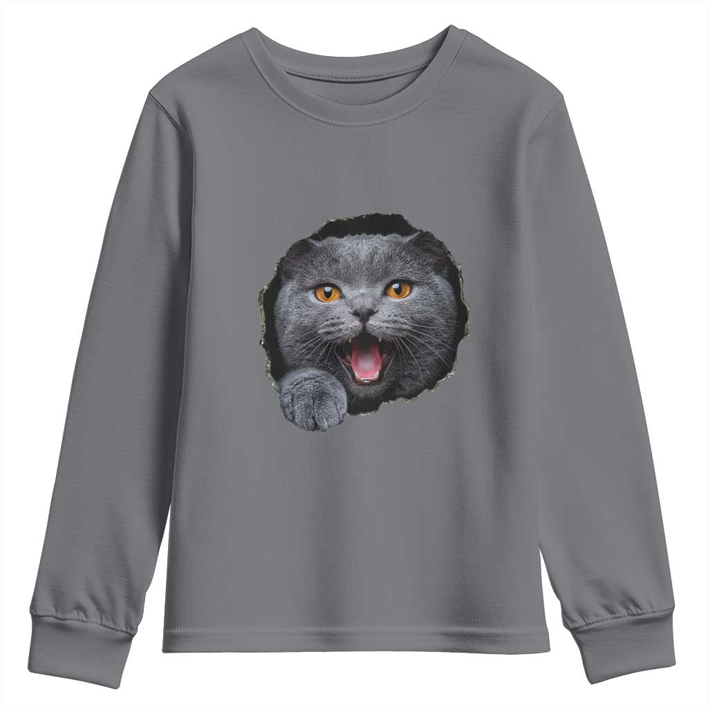 Cute British Shorthair Cat Peeking Through Cracked Wall Youth Sweatshirt