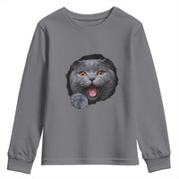 Cute British Shorthair Cat Peeking Through Cracked Wall Youth Sweatshirt