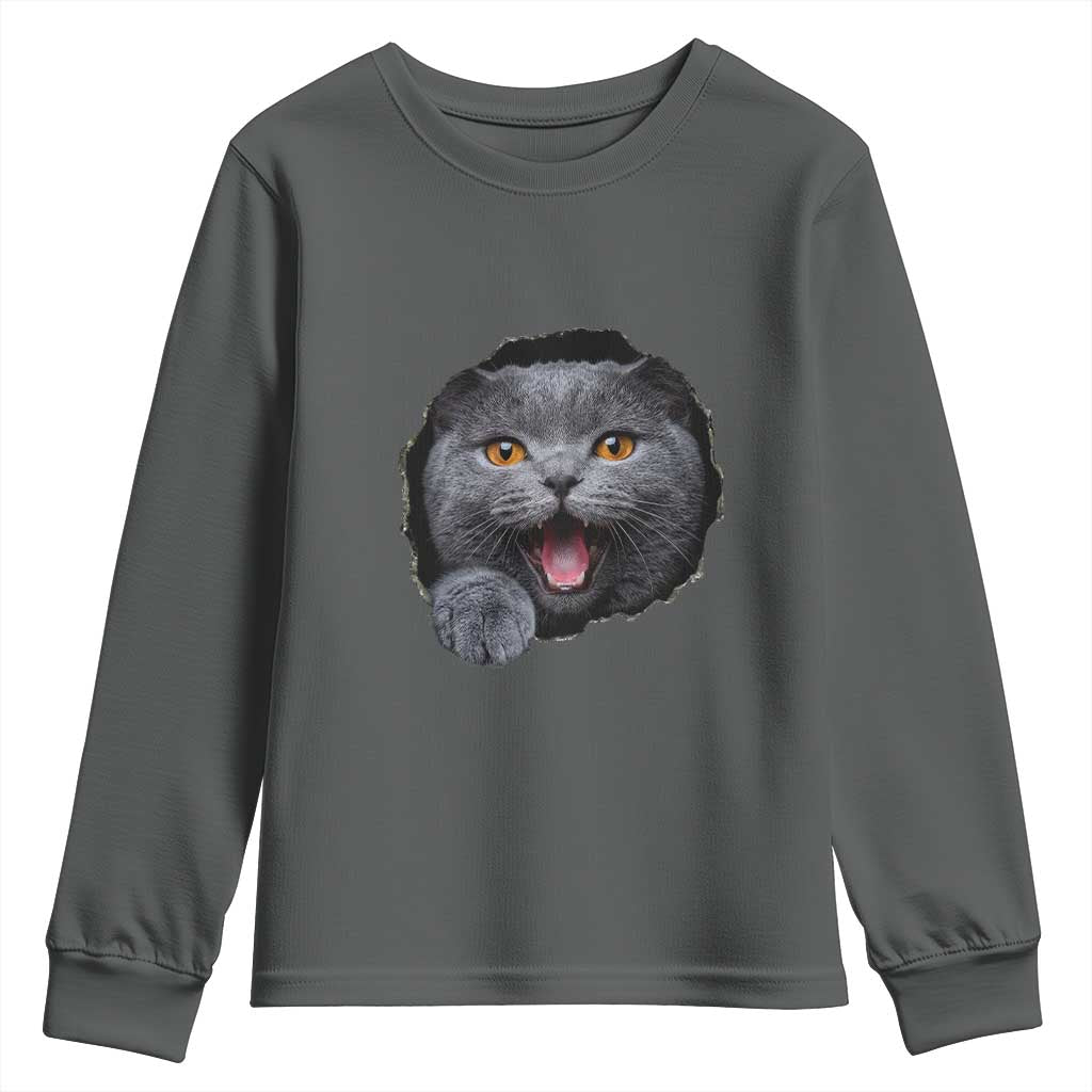 Cute British Shorthair Cat Peeking Through Cracked Wall Youth Sweatshirt