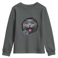 Cute British Shorthair Cat Peeking Through Cracked Wall Youth Sweatshirt