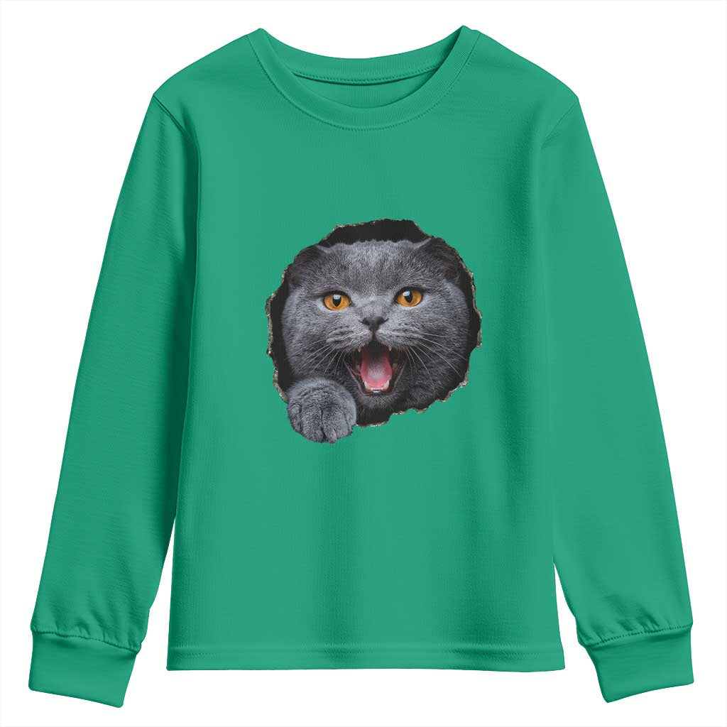 Cute British Shorthair Cat Peeking Through Cracked Wall Youth Sweatshirt