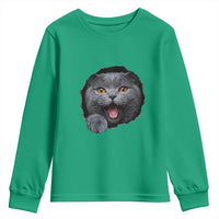 Cute British Shorthair Cat Peeking Through Cracked Wall Youth Sweatshirt