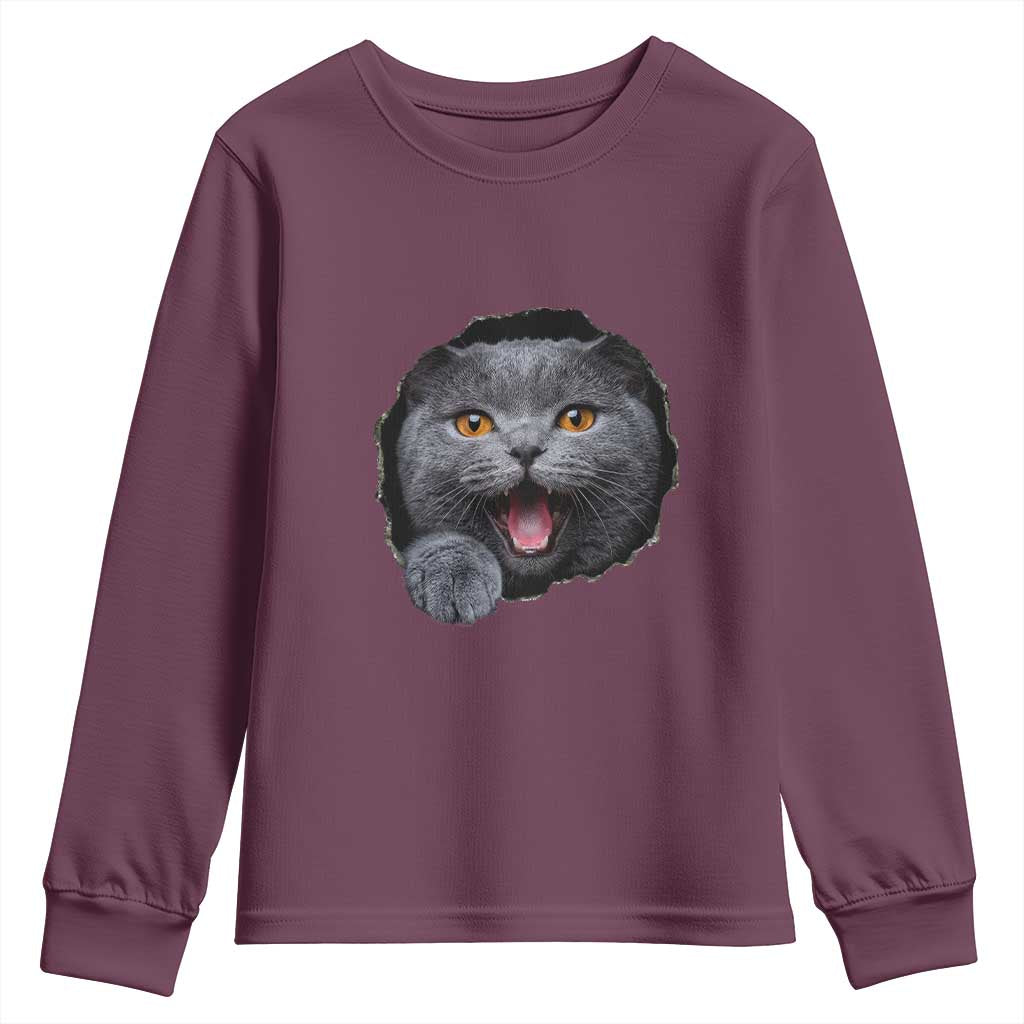 Cute British Shorthair Cat Peeking Through Cracked Wall Youth Sweatshirt