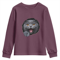 Cute British Shorthair Cat Peeking Through Cracked Wall Youth Sweatshirt