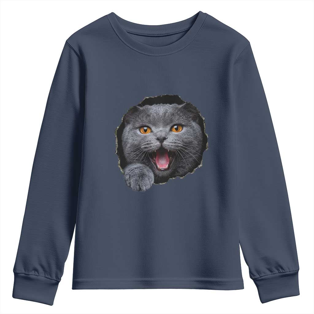 Cute British Shorthair Cat Peeking Through Cracked Wall Youth Sweatshirt