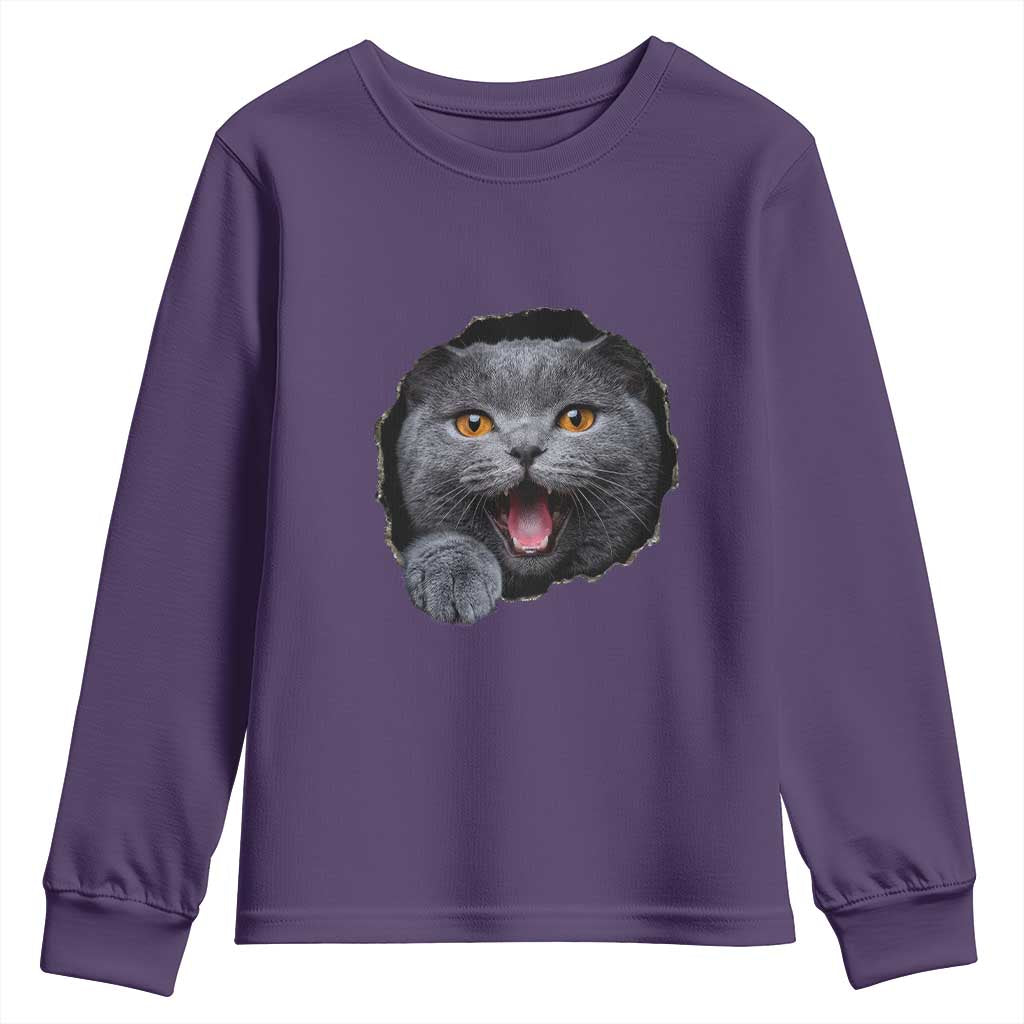 Cute British Shorthair Cat Peeking Through Cracked Wall Youth Sweatshirt