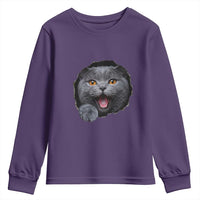 Cute British Shorthair Cat Peeking Through Cracked Wall Youth Sweatshirt