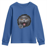 Cute British Shorthair Cat Peeking Through Cracked Wall Youth Sweatshirt