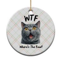 Funny Shocked British Shorthair Cat Ceramic Ornament Where Is The Food