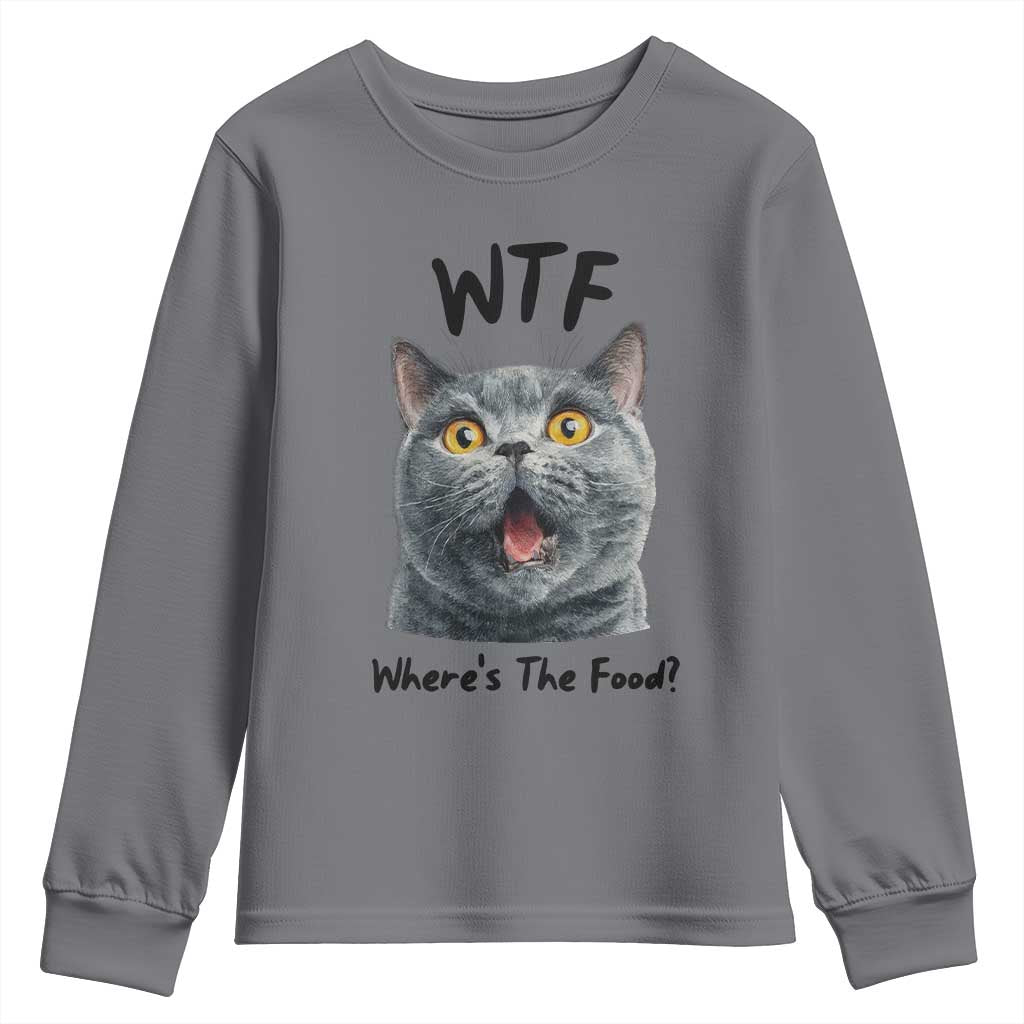 Funny Shocked British Shorthair Cat Youth Sweatshirt Where Is The Food