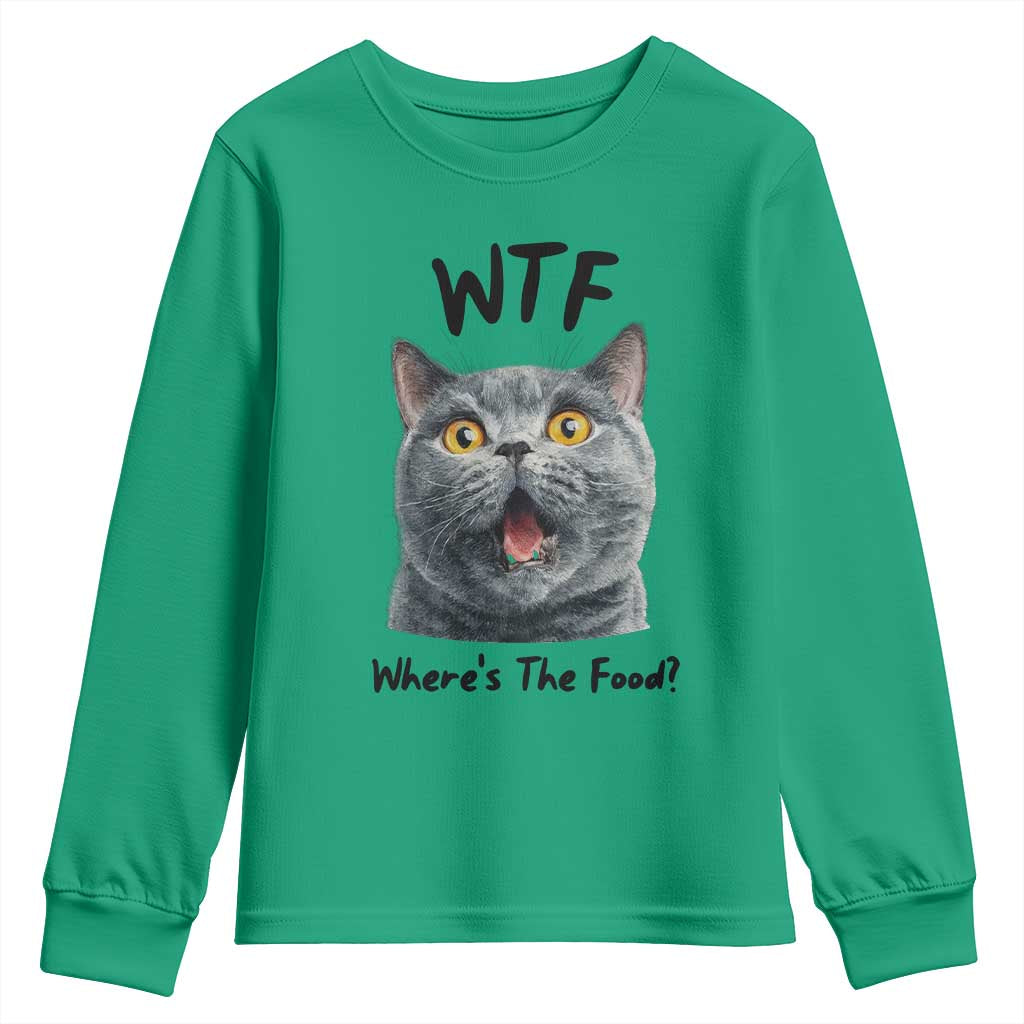 Funny Shocked British Shorthair Cat Youth Sweatshirt Where Is The Food