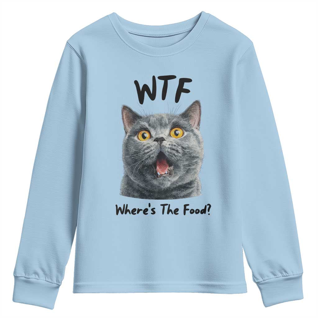 Funny Shocked British Shorthair Cat Youth Sweatshirt Where Is The Food