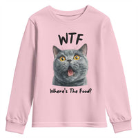 Funny Shocked British Shorthair Cat Youth Sweatshirt Where Is The Food