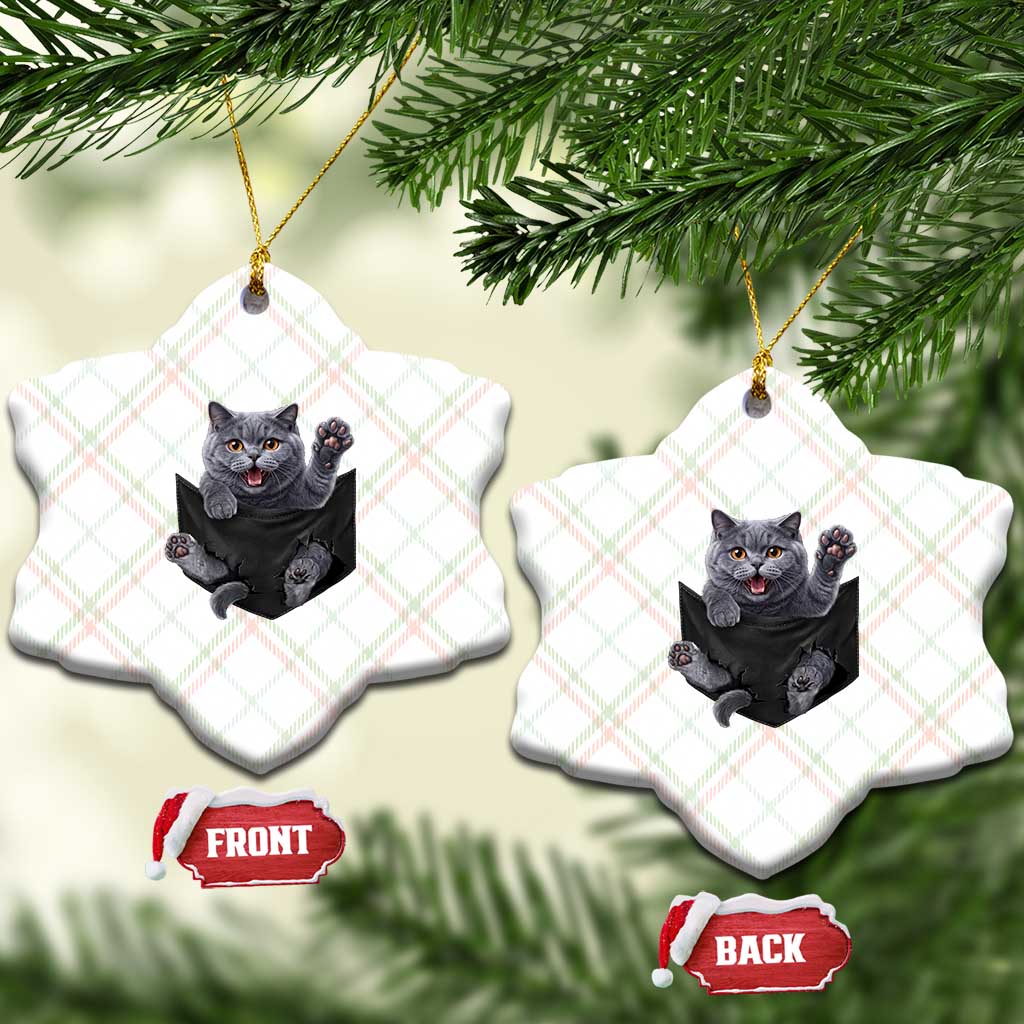 Cute British Shorthair Cat In Pocket Ceramic Ornament Cat Lover