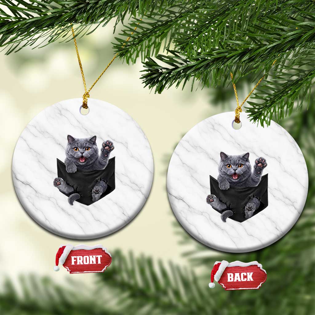 Cute British Shorthair Cat In Pocket Ceramic Ornament Cat Lover