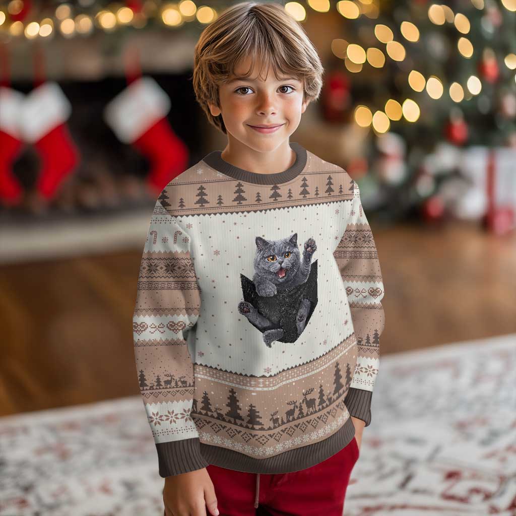 Cute British Shorthair Cat In Pocket Ugly Christmas Sweater Cat Lover
