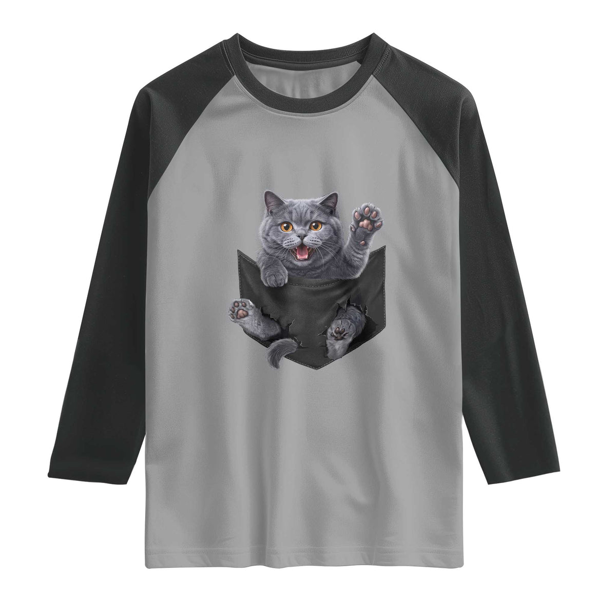 Cute British Shorthair Cat In Pocket Raglan Shirt Cat Lover