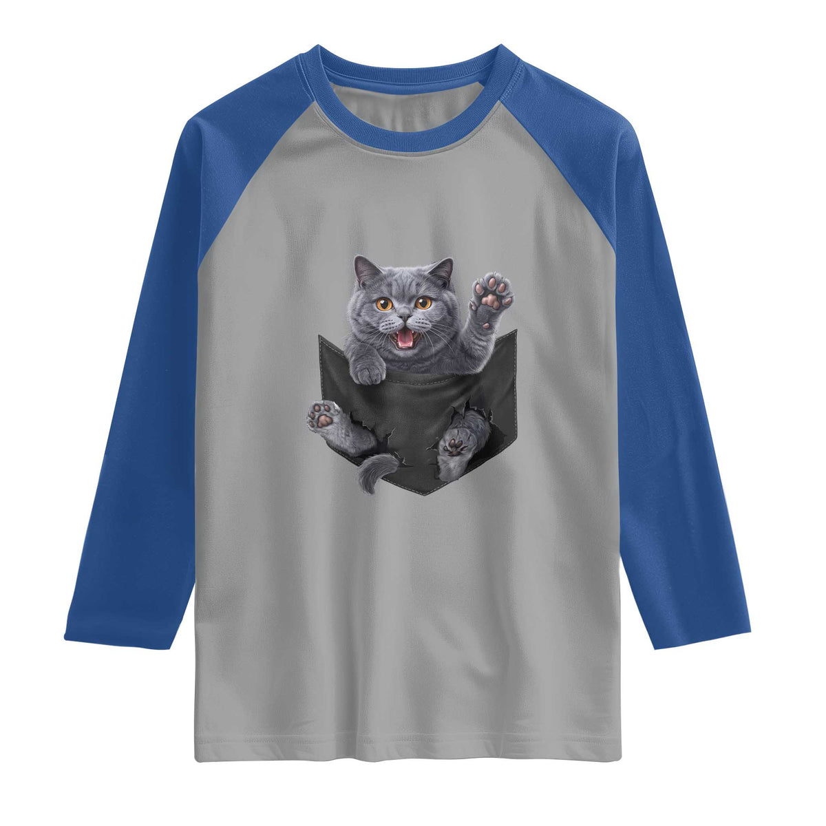 Cute British Shorthair Cat In Pocket Raglan Shirt Cat Lover