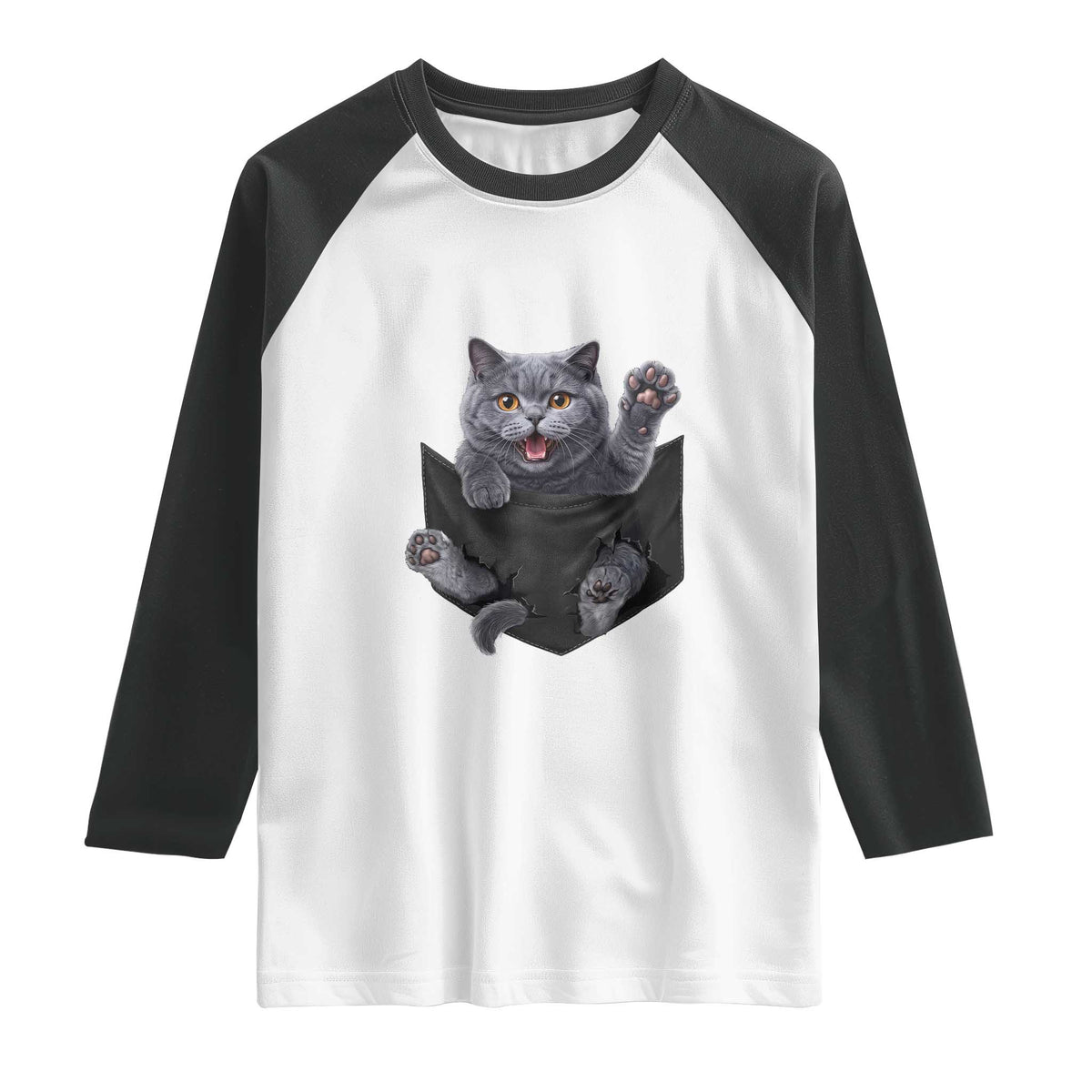 Cute British Shorthair Cat In Pocket Raglan Shirt Cat Lover