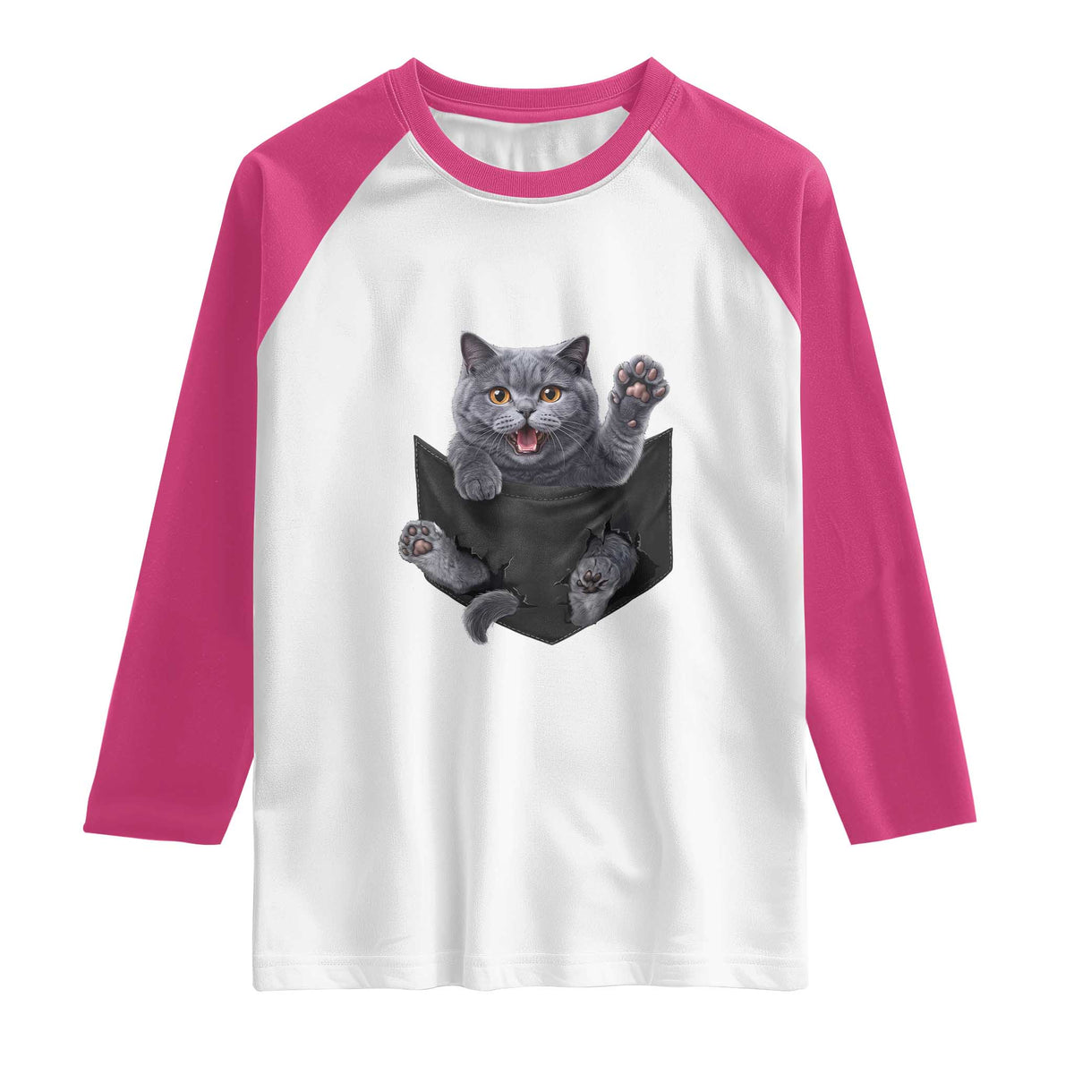 Cute British Shorthair Cat In Pocket Raglan Shirt Cat Lover