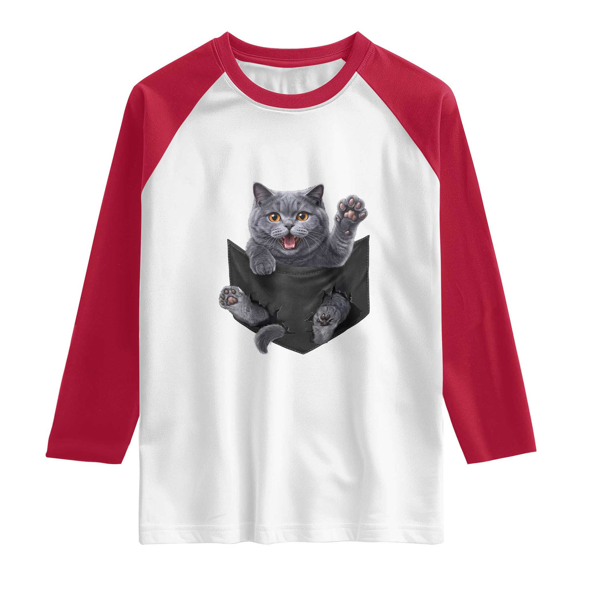 Cute British Shorthair Cat In Pocket Raglan Shirt Cat Lover