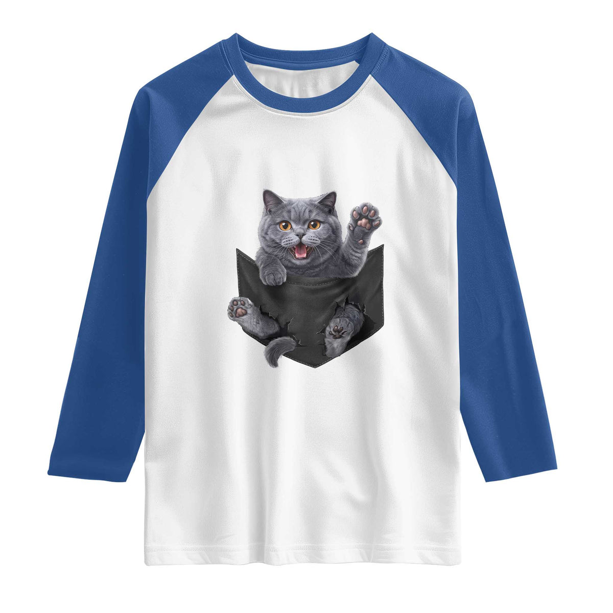 Cute British Shorthair Cat In Pocket Raglan Shirt Cat Lover