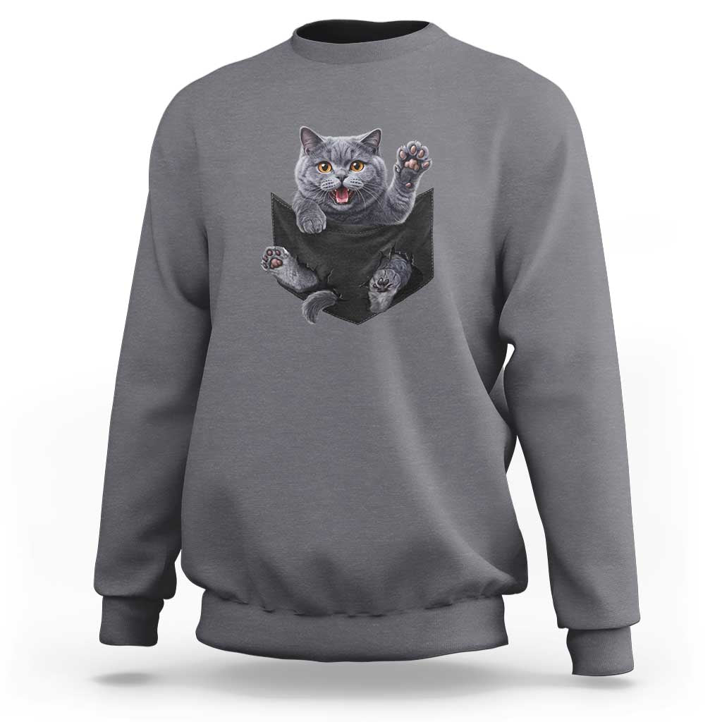 Cute British Shorthair Cat In Pocket Sweatshirt Cat Lover