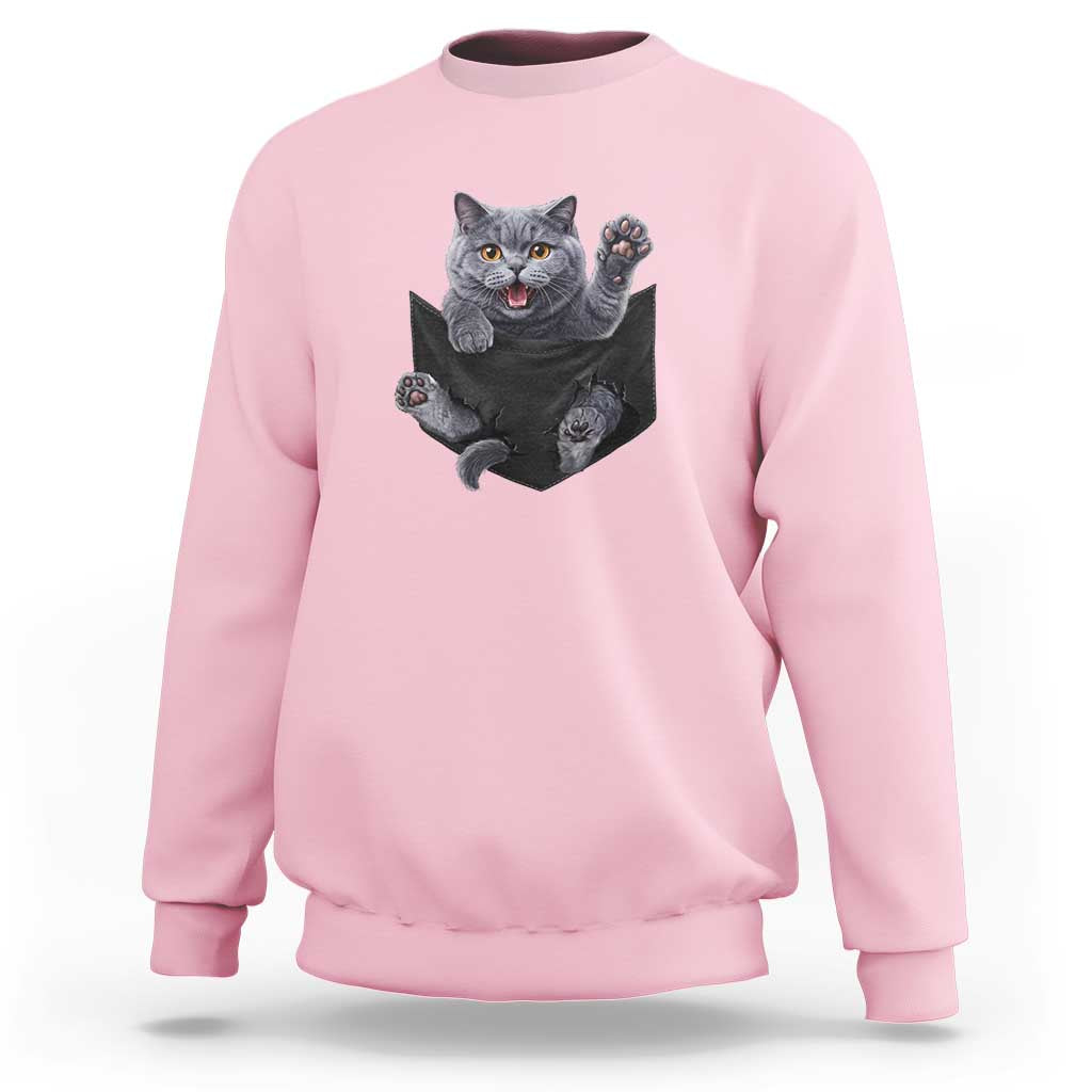 Cute British Shorthair Cat In Pocket Sweatshirt Cat Lover