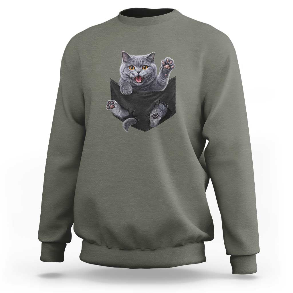 Cute British Shorthair Cat In Pocket Sweatshirt Cat Lover
