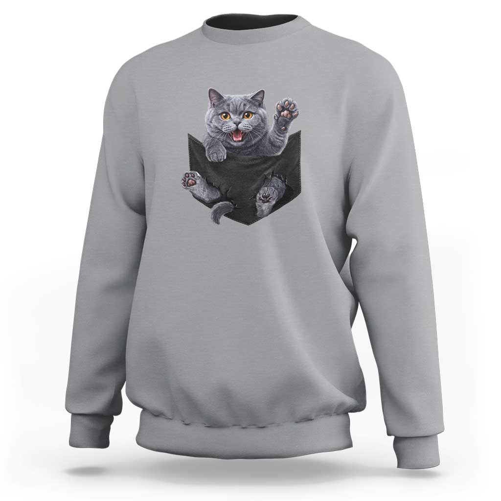 Cute British Shorthair Cat In Pocket Sweatshirt Cat Lover