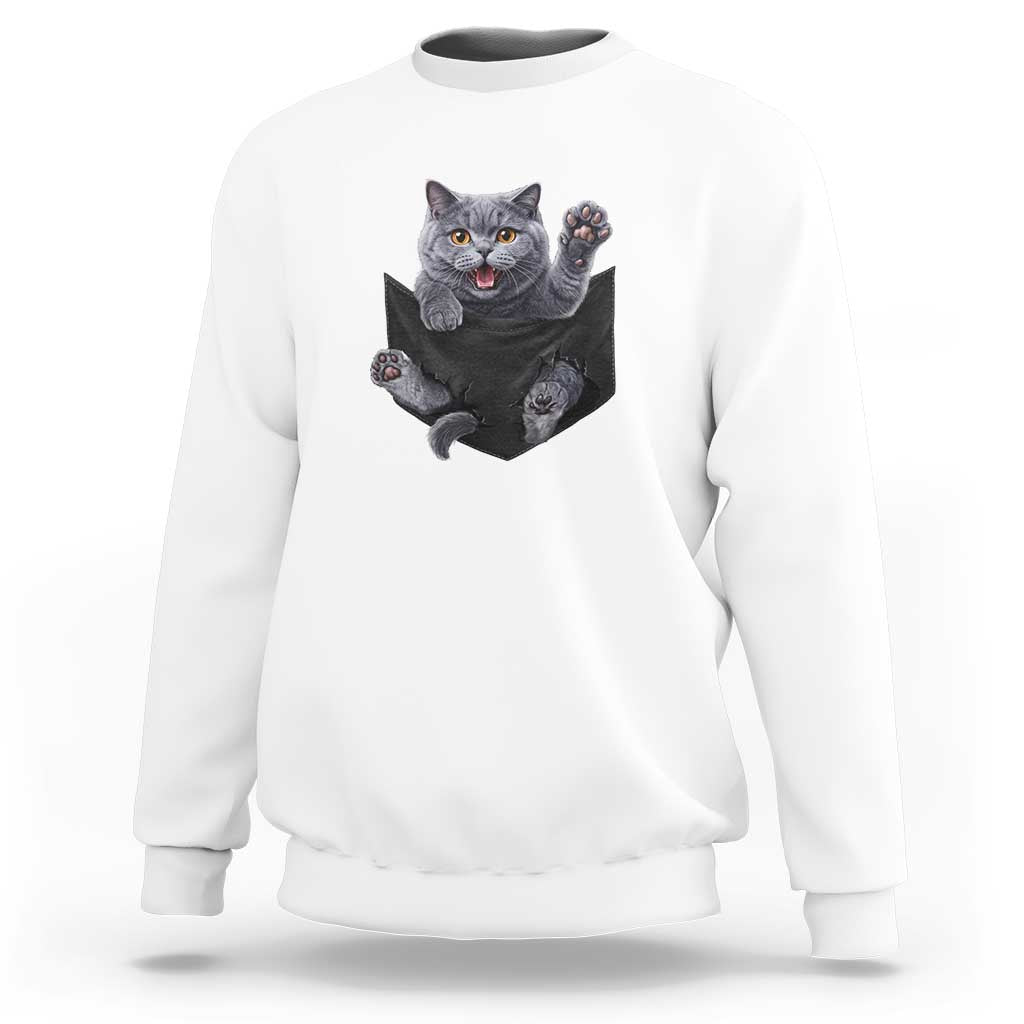 Cute British Shorthair Cat In Pocket Sweatshirt Cat Lover