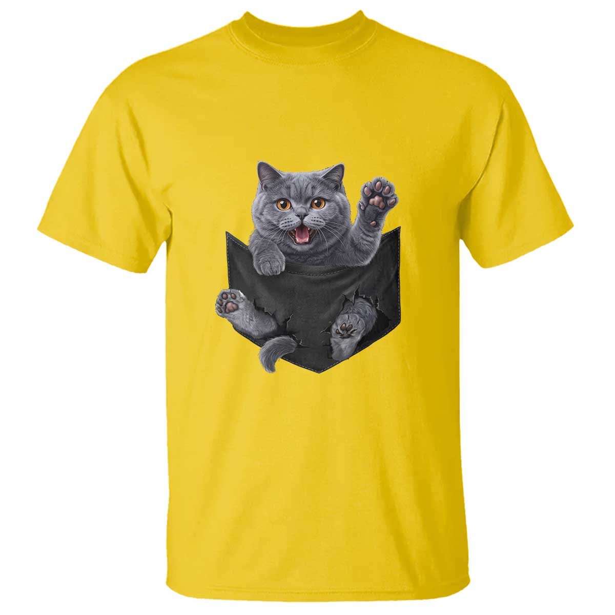 Cute British Shorthair Cat In Pocket T Shirt Cat Lover