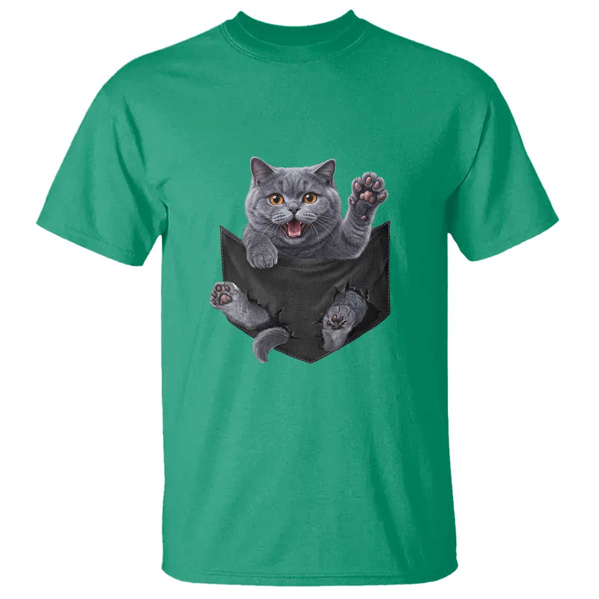 Cute British Shorthair Cat In Pocket T Shirt Cat Lover