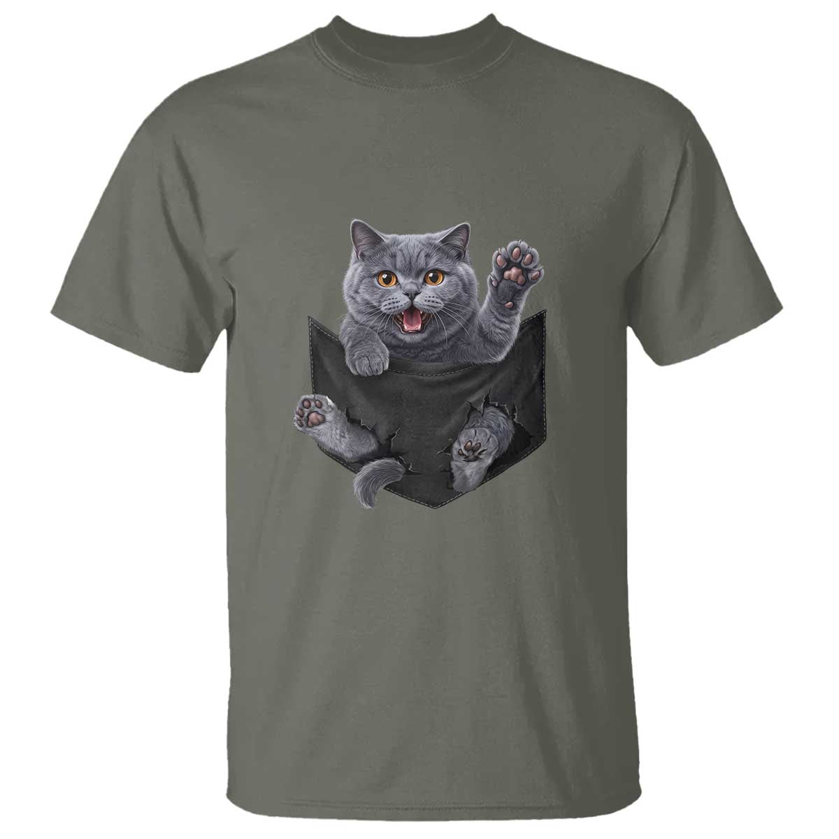 Cute British Shorthair Cat In Pocket T Shirt Cat Lover