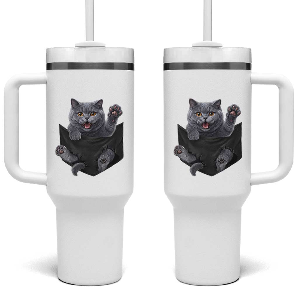 Cute British Shorthair Cat In Pocket Tumbler With Handle Cat Lover