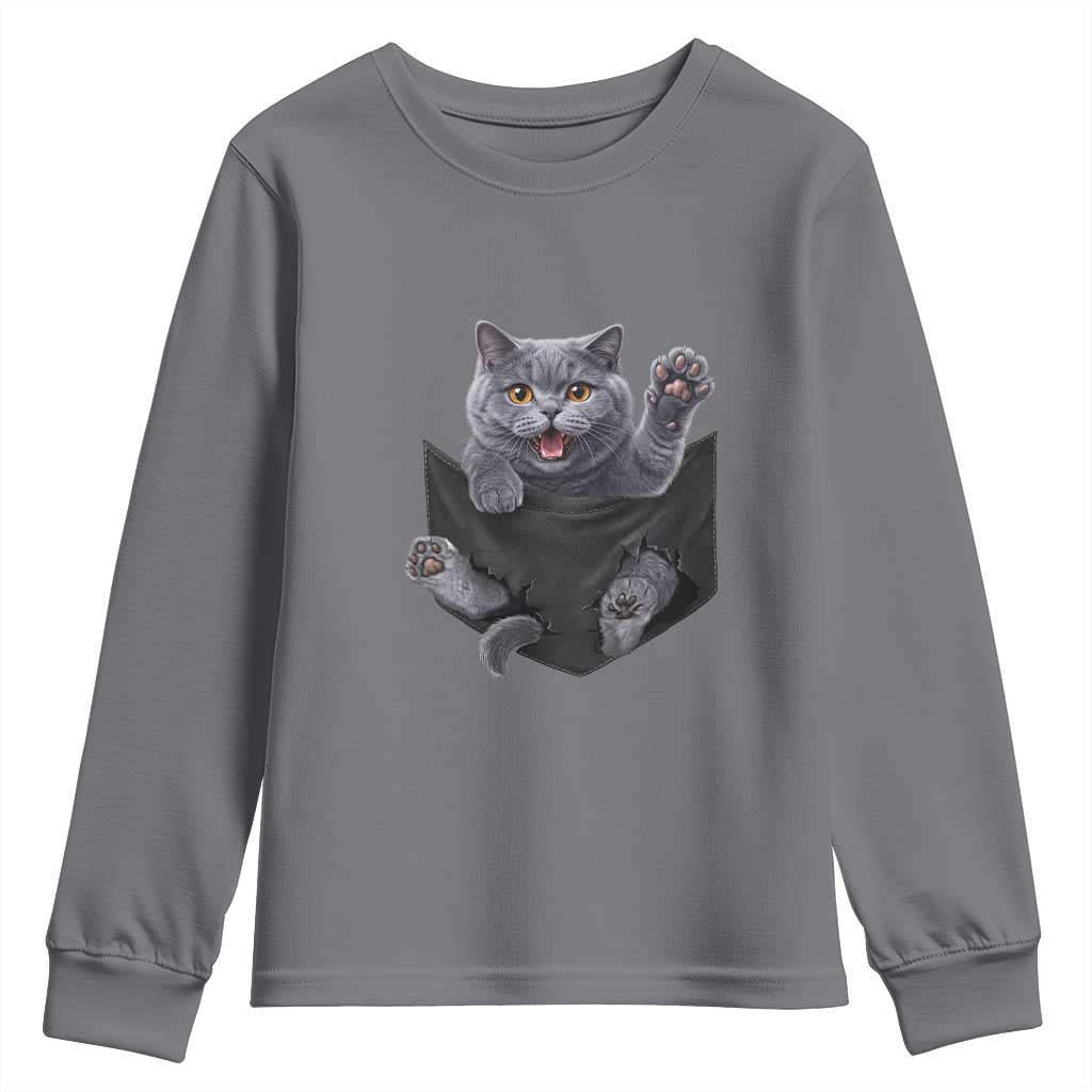 Cute British Shorthair Cat In Pocket Youth Sweatshirt Cat Lover