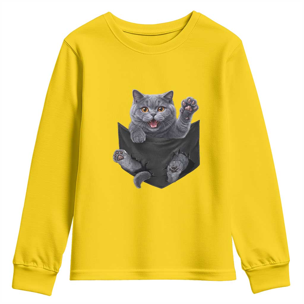 Cute British Shorthair Cat In Pocket Youth Sweatshirt Cat Lover