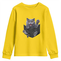 Cute British Shorthair Cat In Pocket Youth Sweatshirt Cat Lover