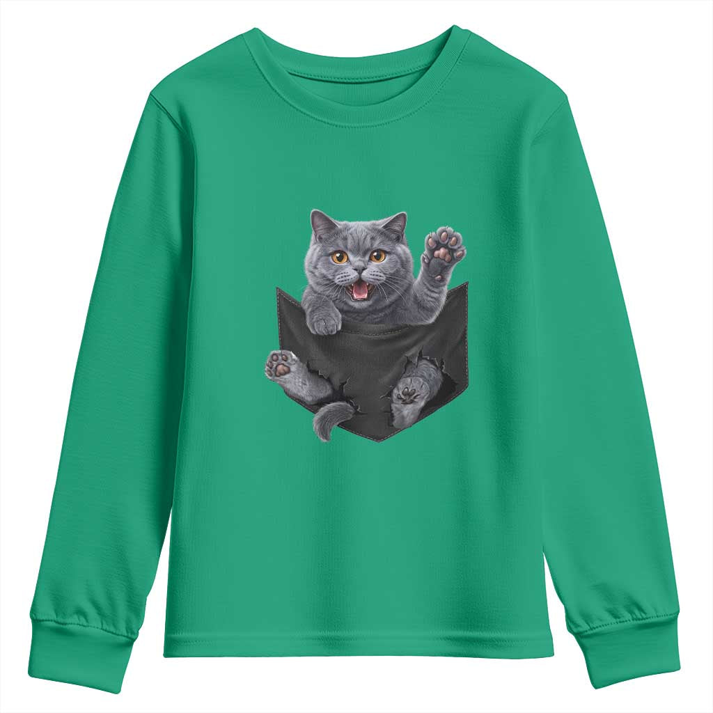 Cute British Shorthair Cat In Pocket Youth Sweatshirt Cat Lover