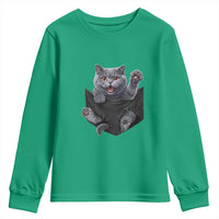 Cute British Shorthair Cat In Pocket Youth Sweatshirt Cat Lover