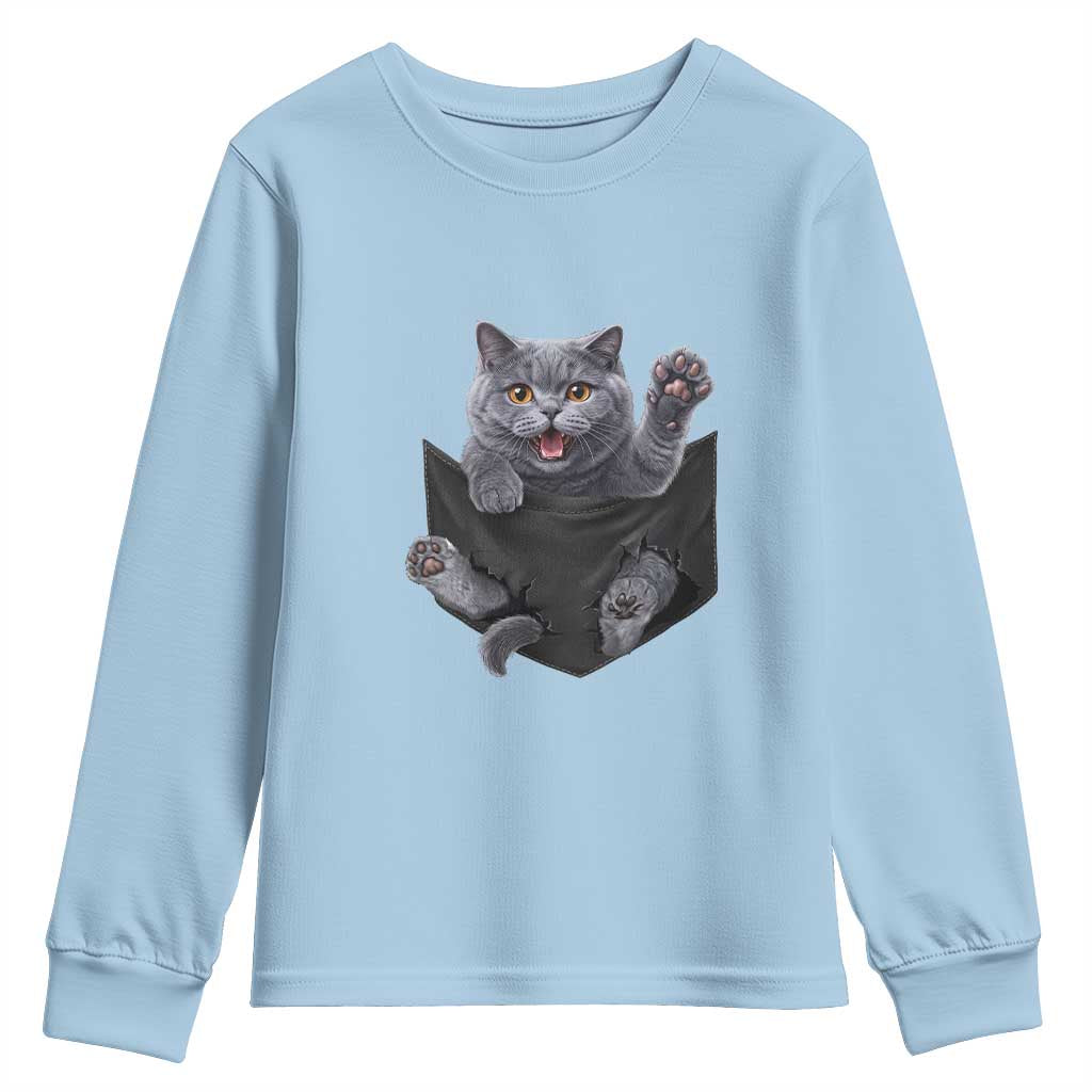 Cute British Shorthair Cat In Pocket Youth Sweatshirt Cat Lover
