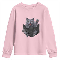 Cute British Shorthair Cat In Pocket Youth Sweatshirt Cat Lover