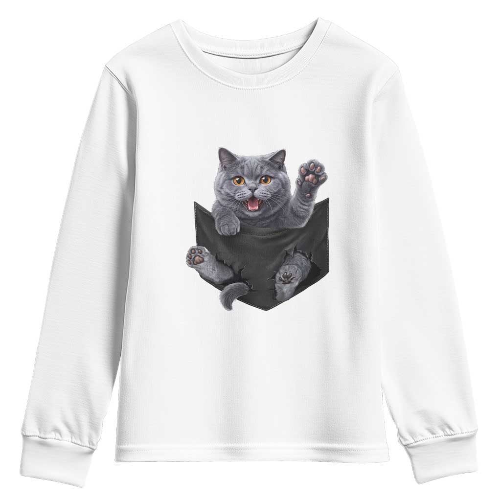 Cute British Shorthair Cat In Pocket Youth Sweatshirt Cat Lover
