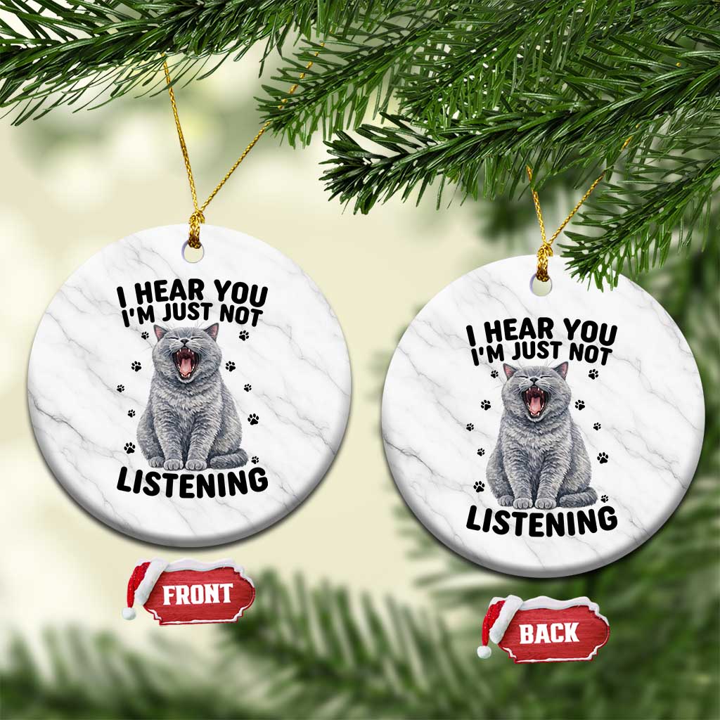 Funny British Shorthair Cat Ceramic Ornament I Hear You I Am Just Not Listening