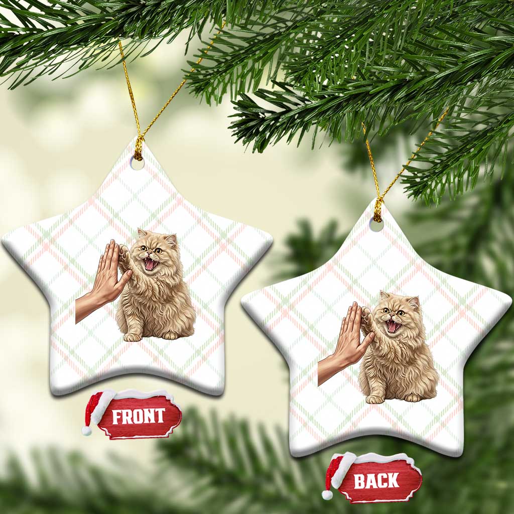 Cute Persian Cat High Five Ceramic Ornament Cat Lover