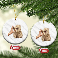 Cute Persian Cat High Five Ceramic Ornament Cat Lover