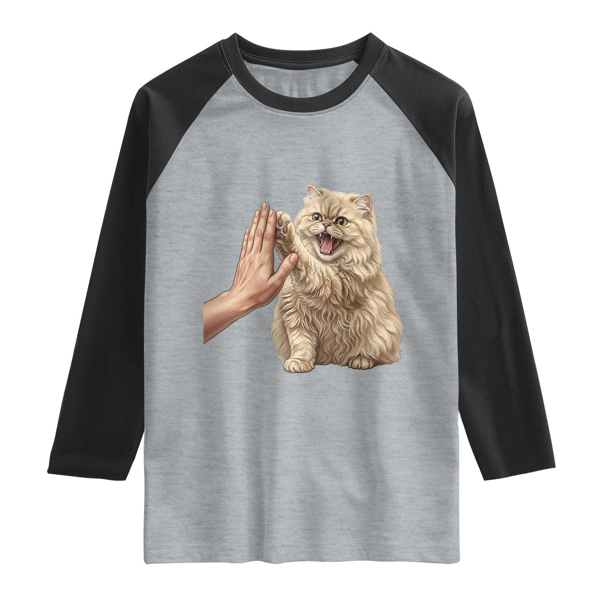 Cute Persian Cat High Five Raglan Shirt Cat Lover