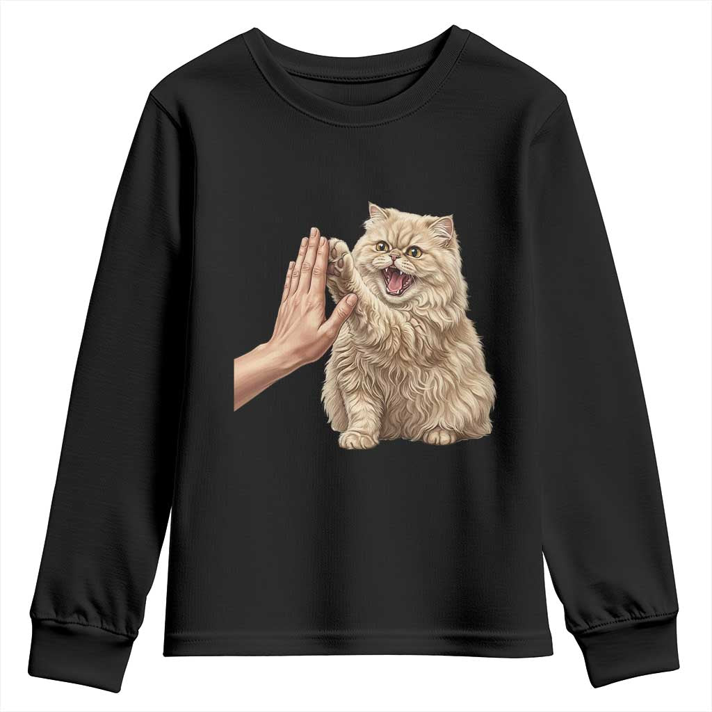 Cute Persian Cat High Five Youth Sweatshirt Cat Lover