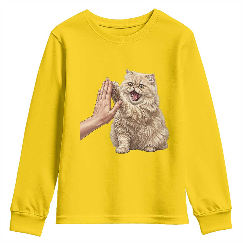 Cute Persian Cat High Five Youth Sweatshirt Cat Lover