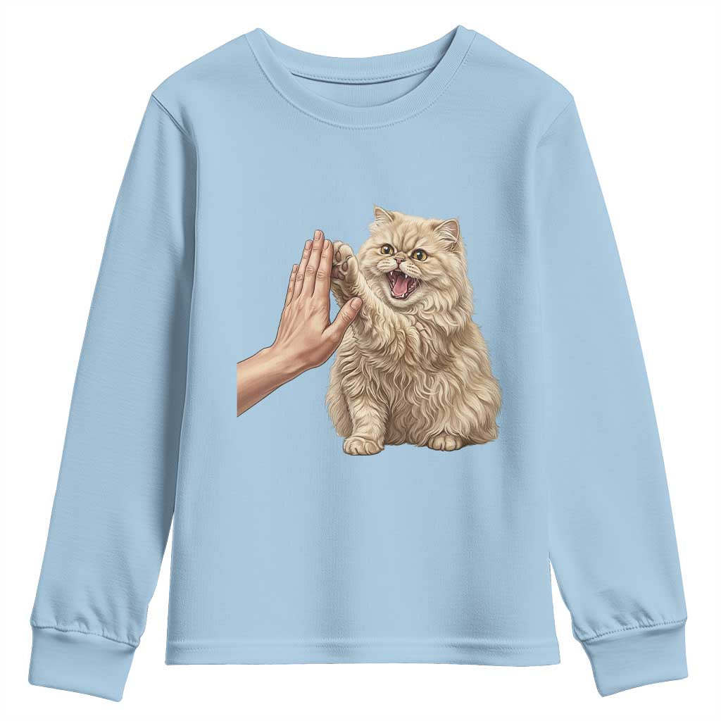 Cute Persian Cat High Five Youth Sweatshirt Cat Lover